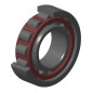 CUSCINETTO 35X80X31 A RULLI CILINDRICI NU2307EG15 SNR
