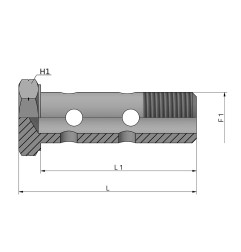 BULLONE FORATO DOPPIO 10x1 METRICO