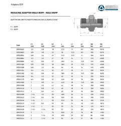 NIPLES 1"1/4 MASCHIO GAS CILINDRICO SV60 - 3/4" MASCHIO GAS CILINDRICO SV60
