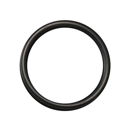 O-RING 2,62X17,86 123 VITON
