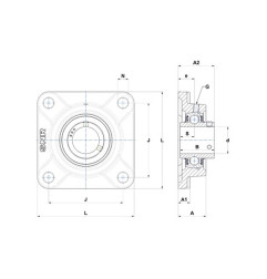 SUPPORTO FORO 25 FLANGIA QUADRA UCF205 NTN