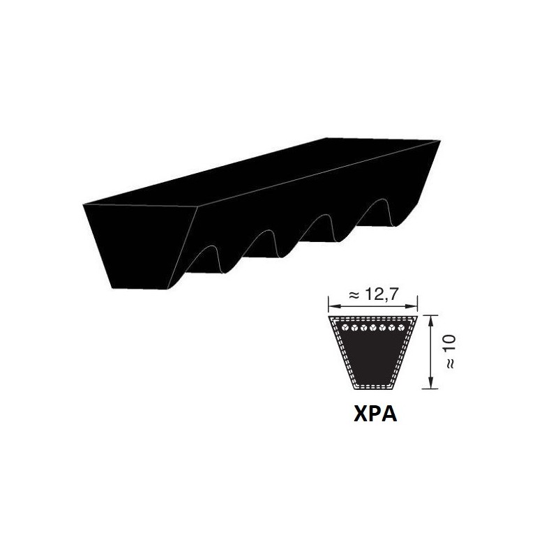 CINGHIA 12,7X807 XPA807 TRAPEZOIDALE DENTELLATA OPTIBELT